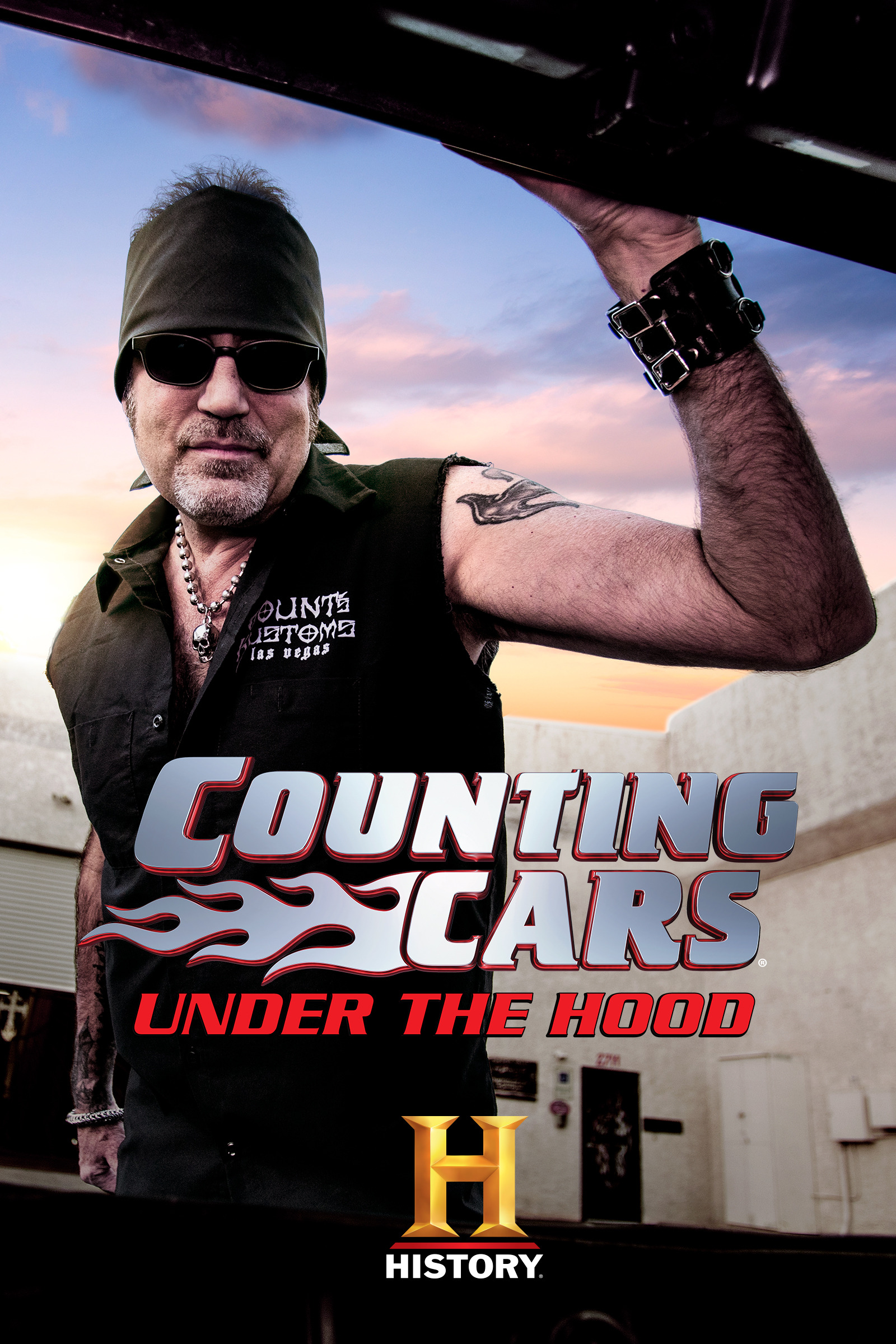 Mega Sized TV Poster Image for Counting Cars: Under the Hood 