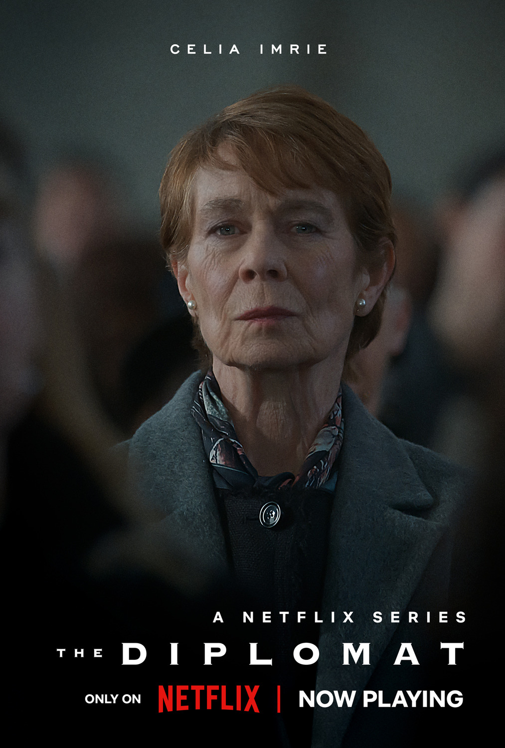 Extra Large TV Poster Image for The Diplomat (#9 of 12)