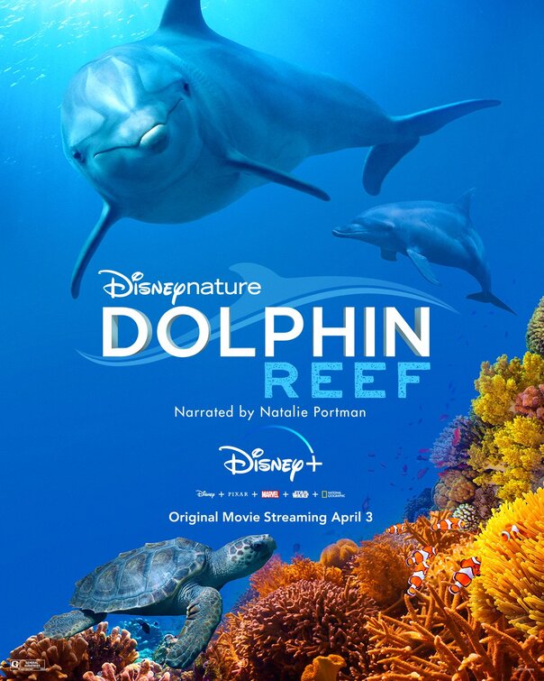 Dolphin Reef Movie Poster