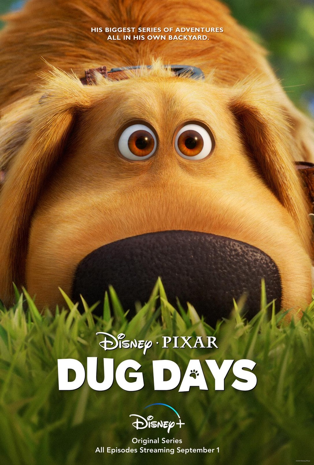 Extra Large TV Poster Image for Dug Days 
