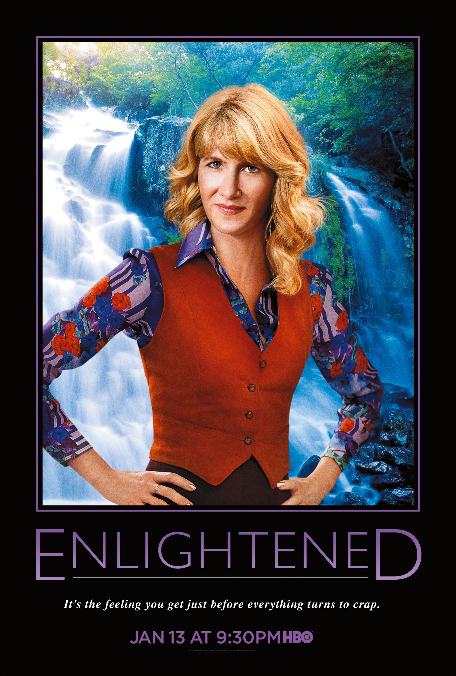 Mega Sized TV Poster Image for Enlightened (#4 of 7)