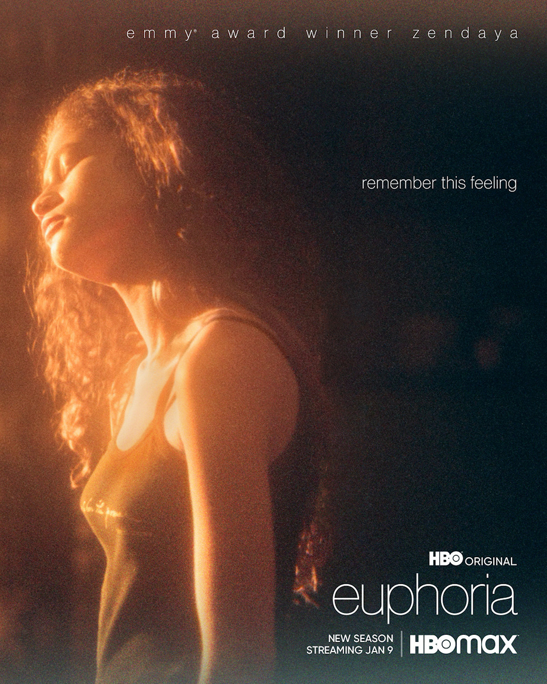 Extra Large Movie Poster Image for Euphoria (#5 of 5)