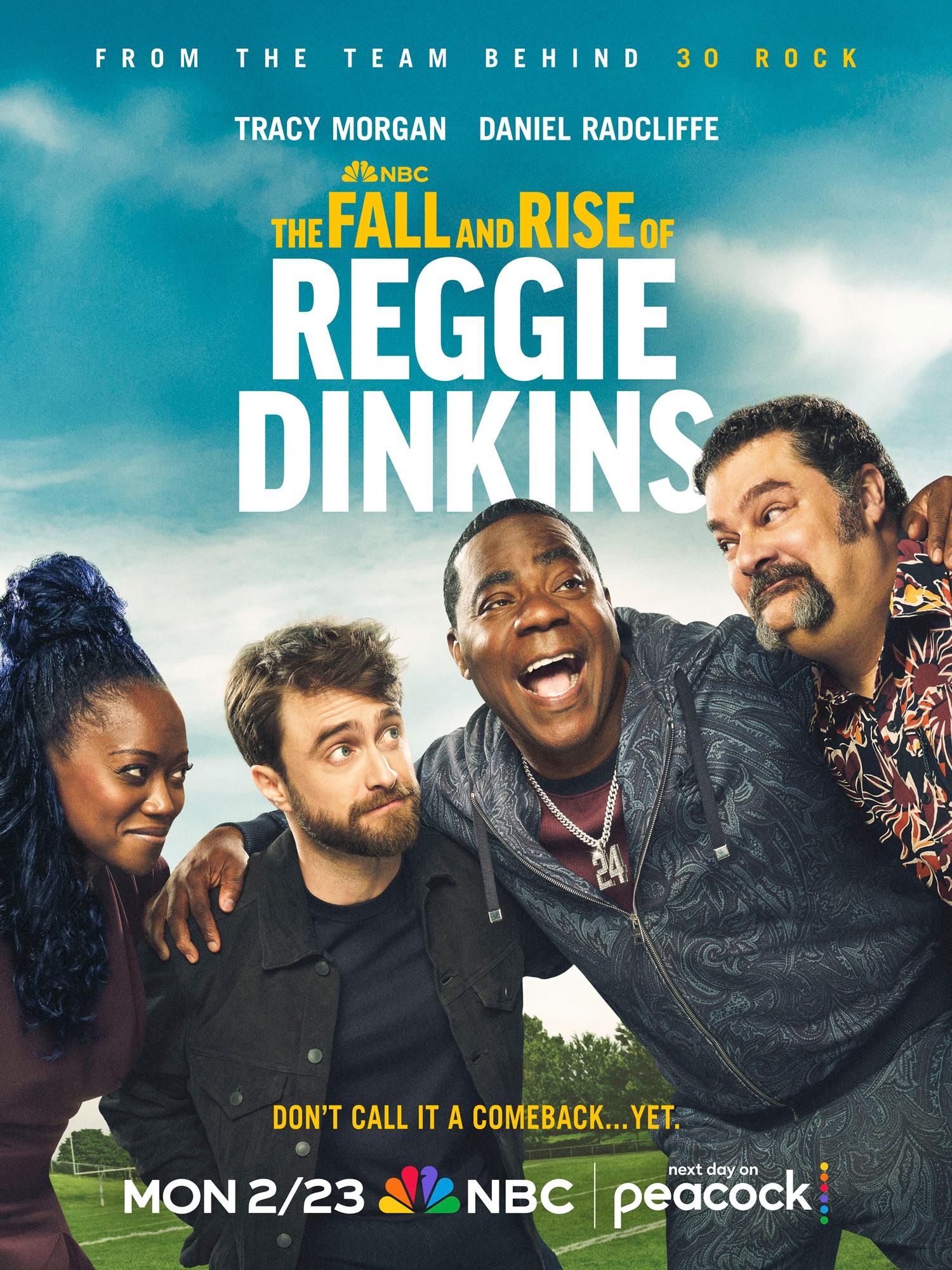 Mega Sized TV Poster Image for The Fall and Rise of Reggie Dinkins 