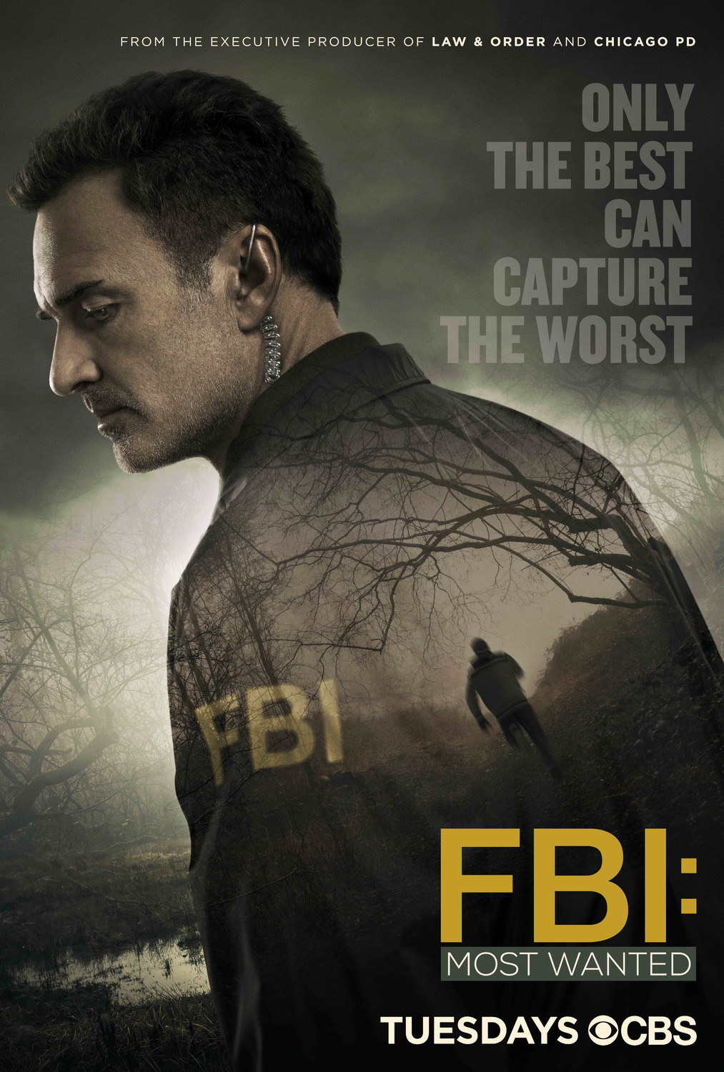 Extra Large TV Poster Image for FBI: Most Wanted 