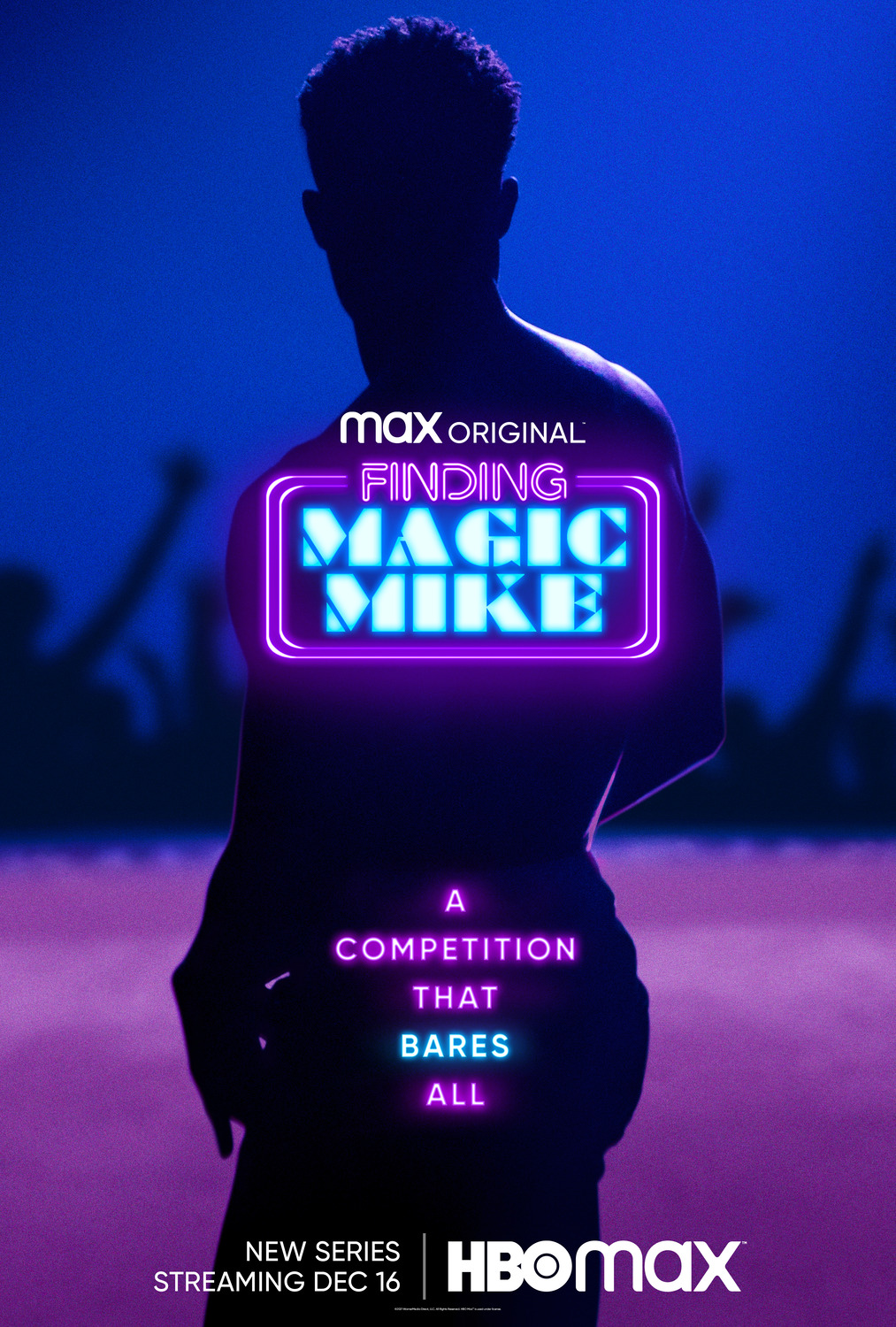 Extra Large TV Poster Image for Finding Magic Mike 