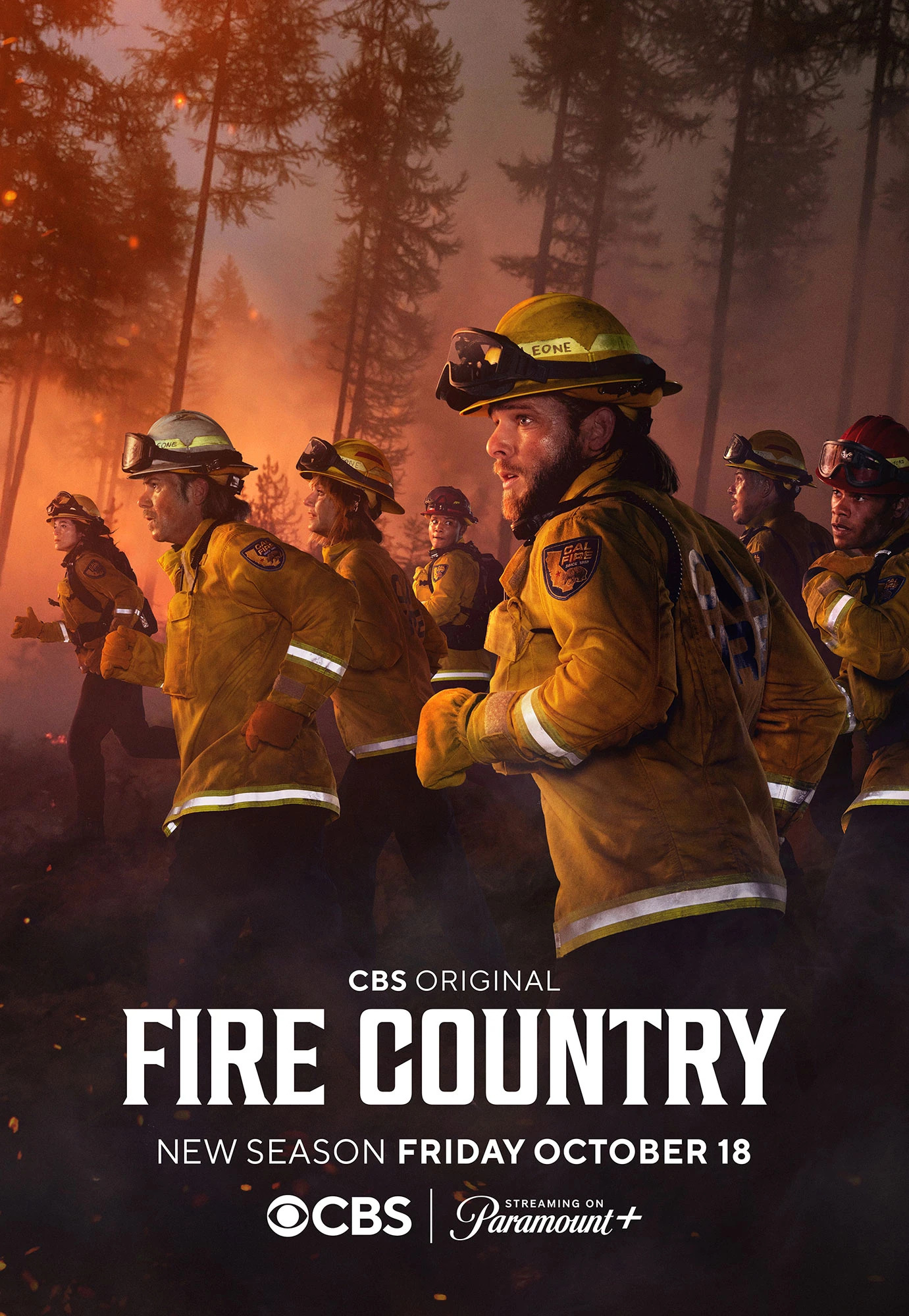 Mega Sized TV Poster Image for Fire Country (#5 of 5)