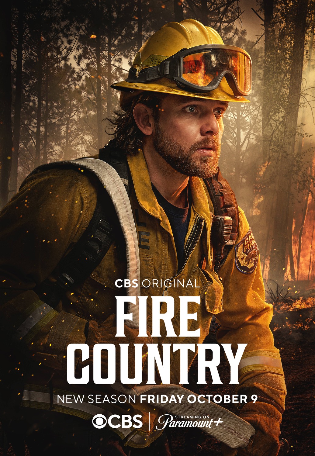 Extra Large TV Poster Image for Fire Country (#8 of 8)