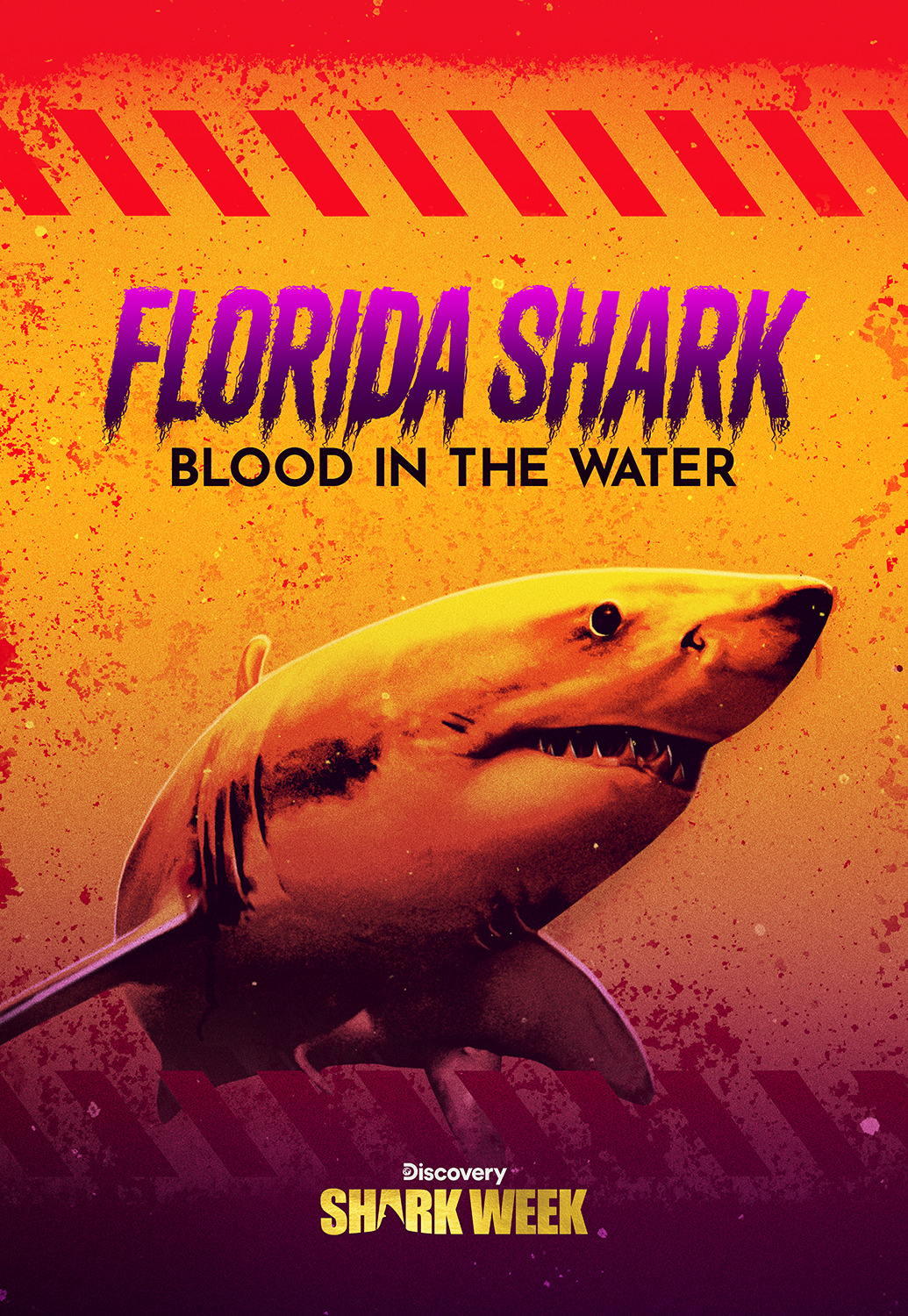 Extra Large TV Poster Image for Florida Shark: Blood in the Water 
