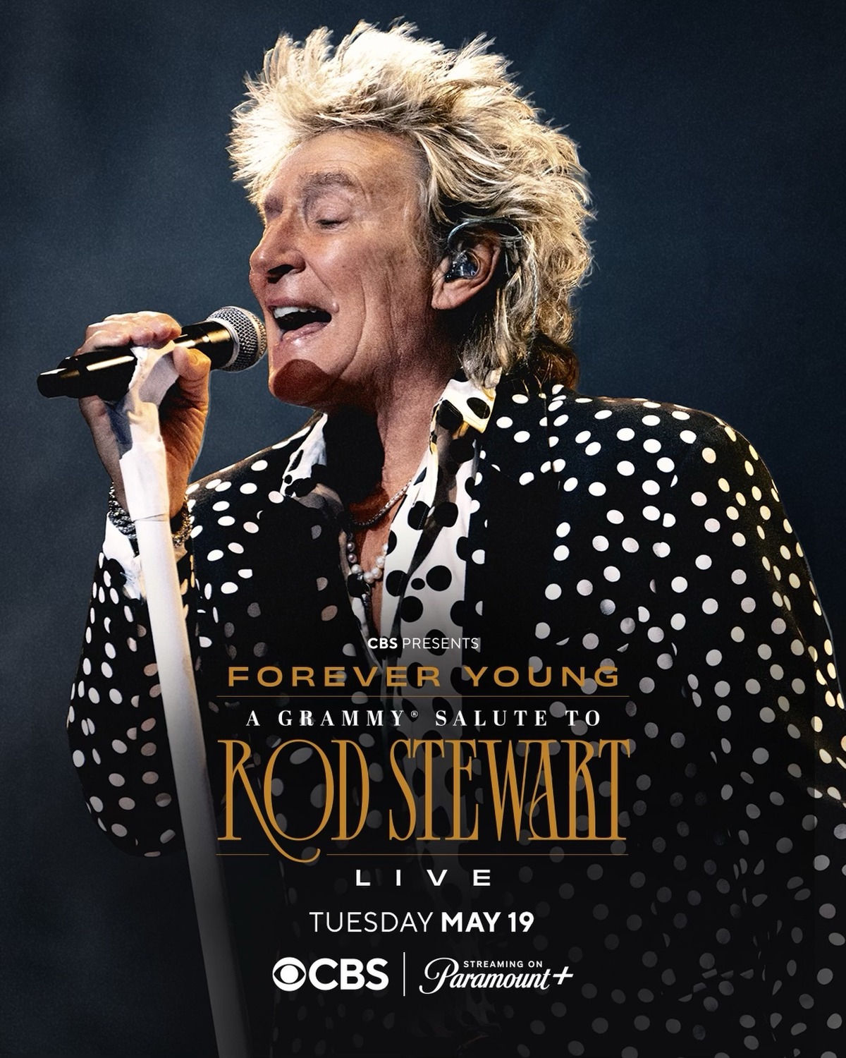 Extra Large TV Poster Image for Forever Young: A Grammy Salute to Rod Stewart 