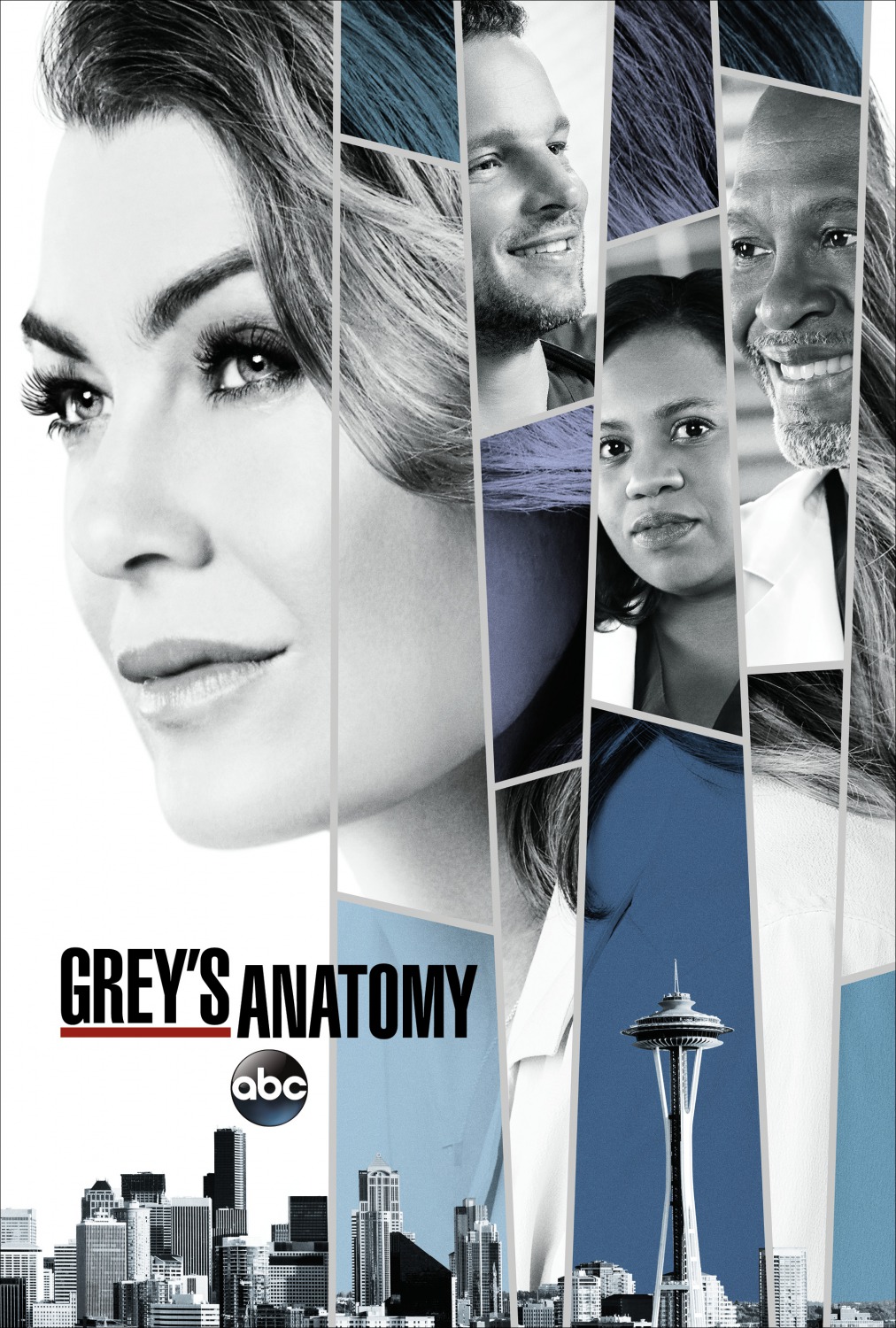 Extra Large TV Poster Image for Grey's Anatomy (#19 of 30)