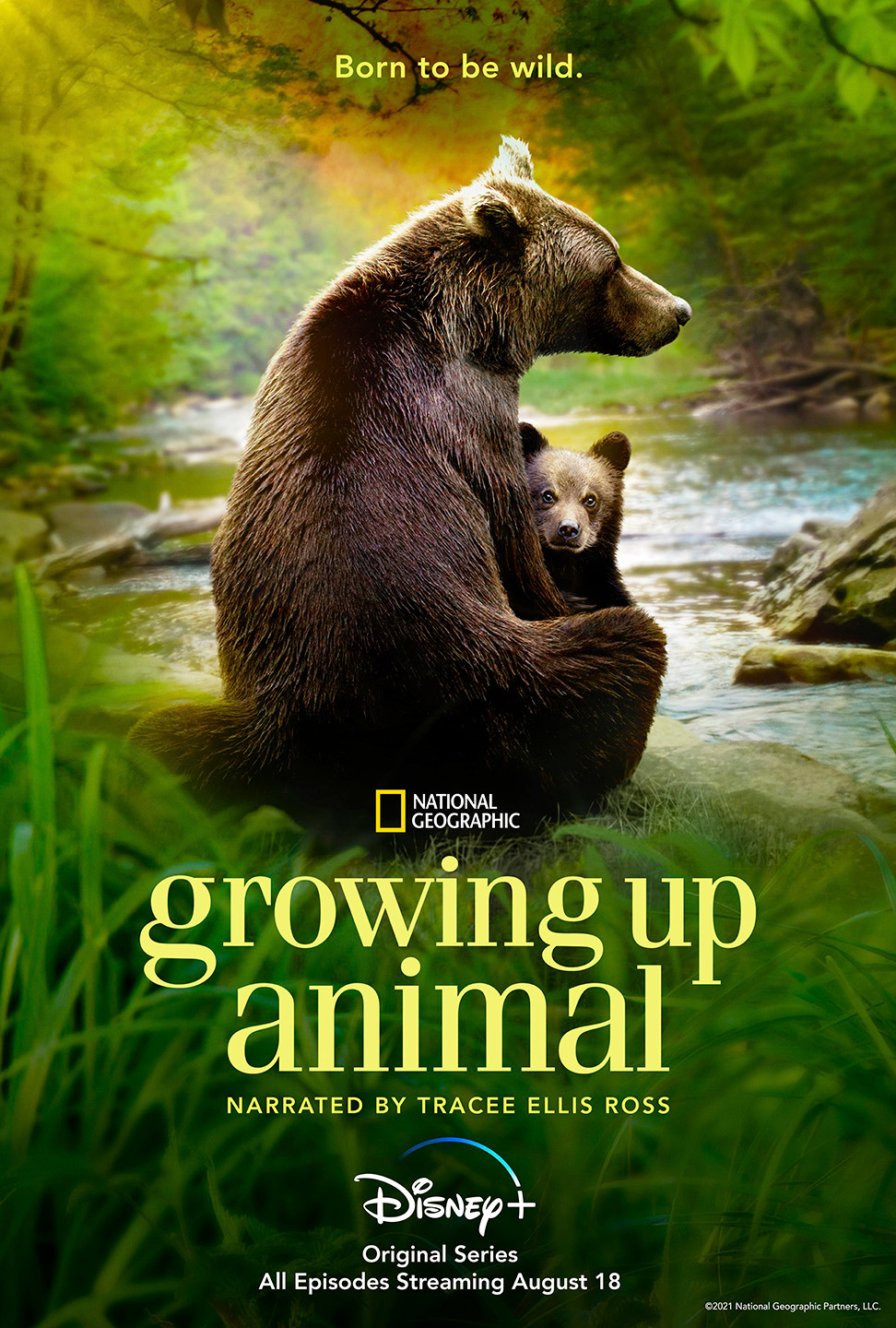 Extra Large TV Poster Image for Growing Up Animal 