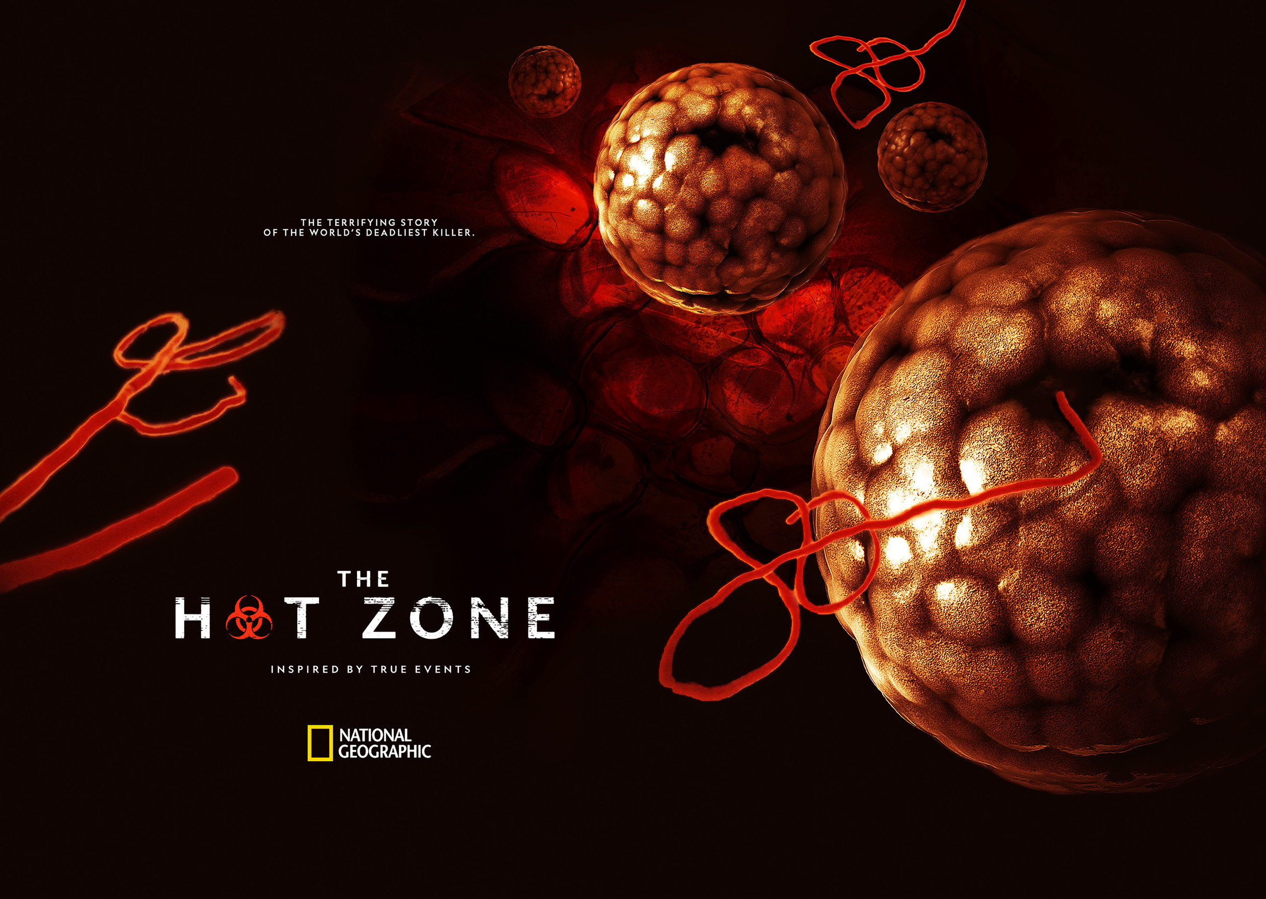 Mega Sized TV Poster Image for The Hot Zone (#3 of 3)