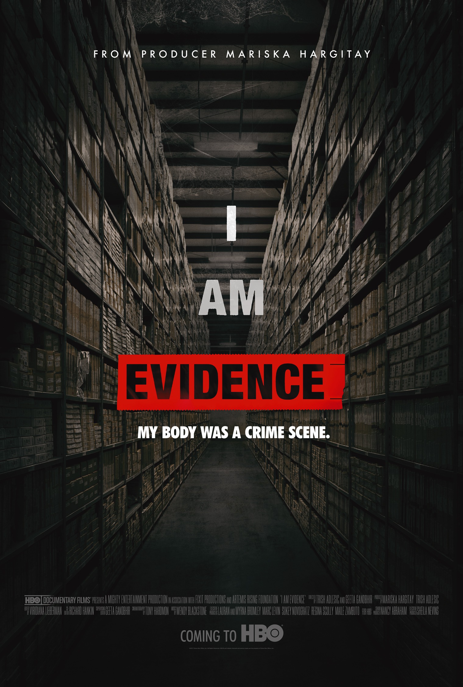 Mega Sized TV Poster Image for I Am Evidence 