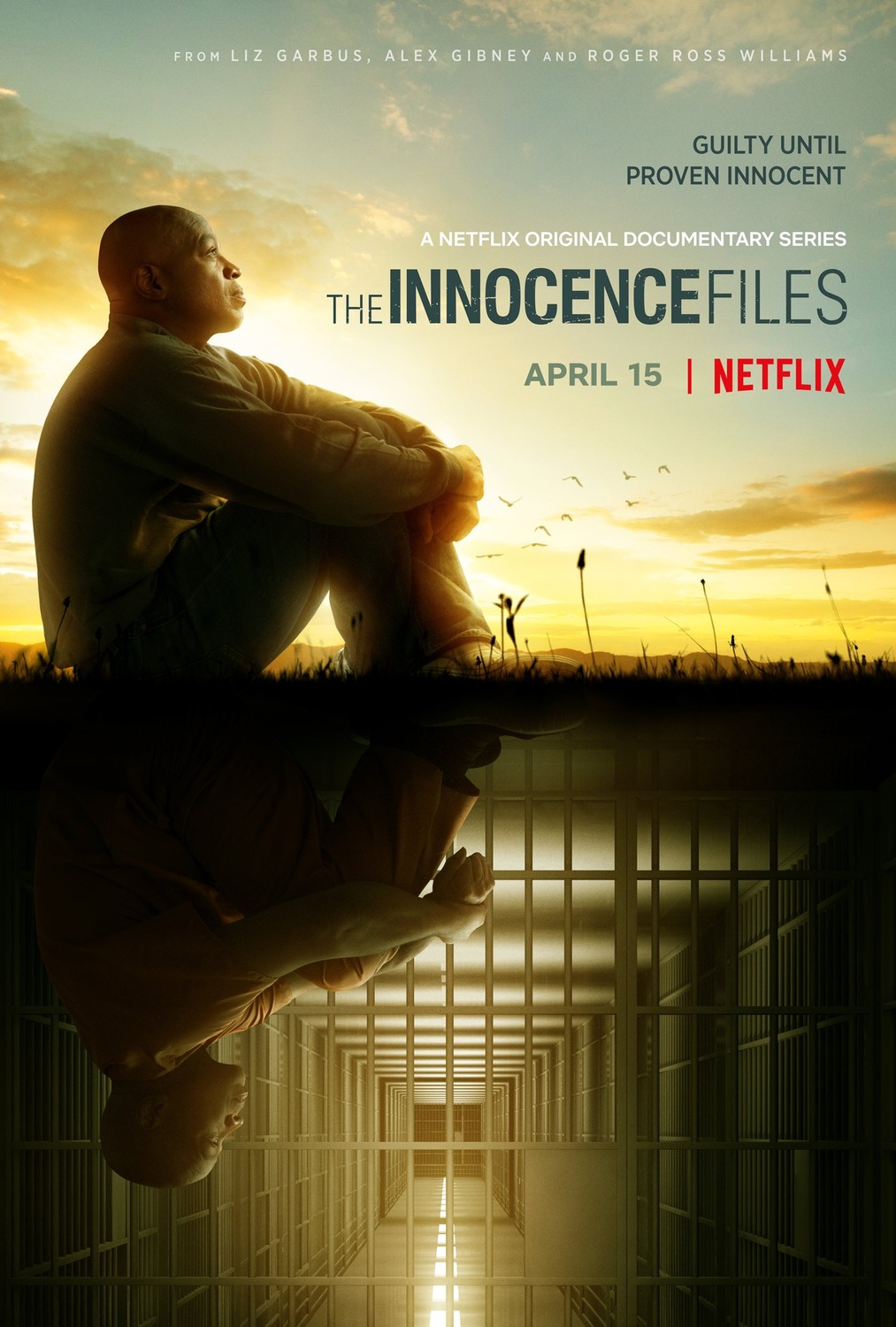 Extra Large TV Poster Image for The Innocence Files 