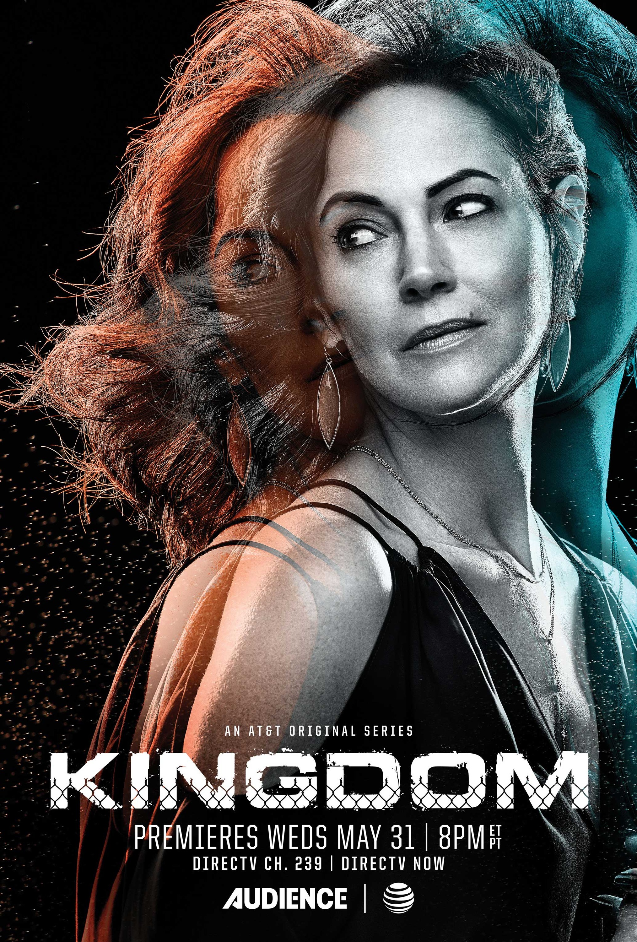 Mega Sized TV Poster Image for Kingdom (#3 of 7)