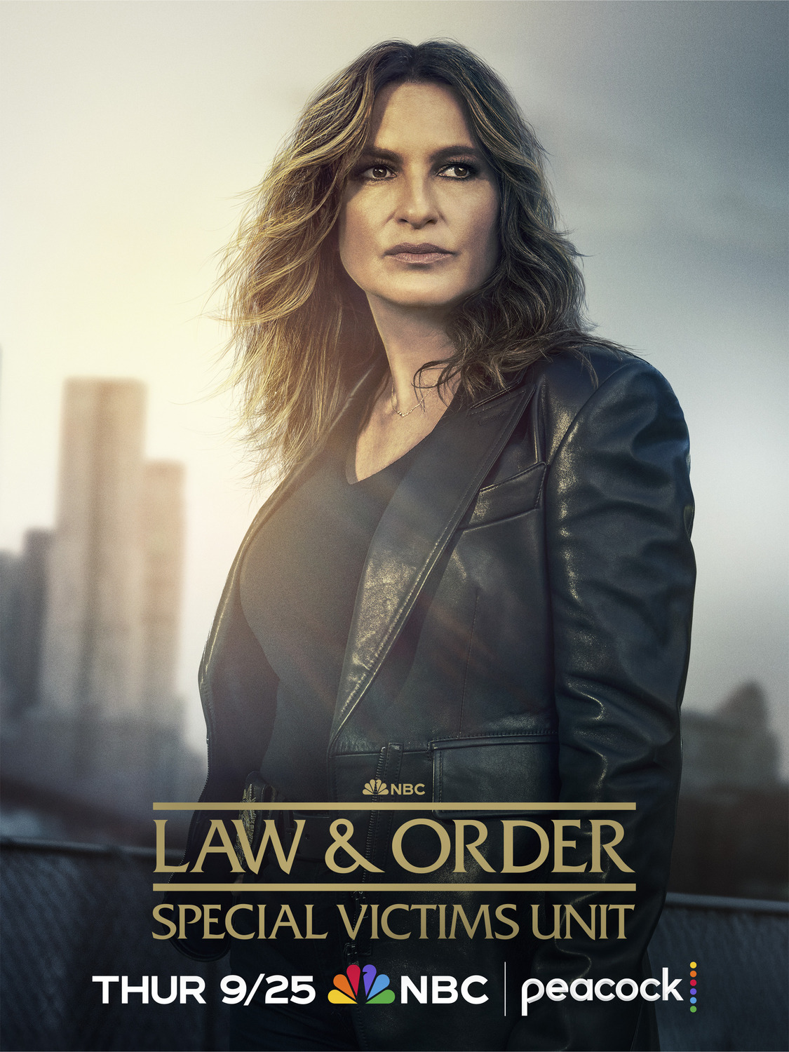 Extra Large TV Poster Image for Law & Order: Special Victims Unit (#10 of 11)