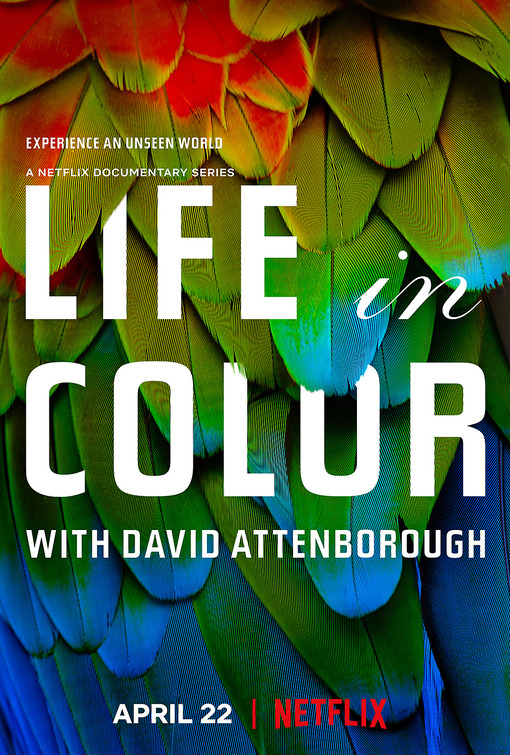 Life in Colour Movie Poster