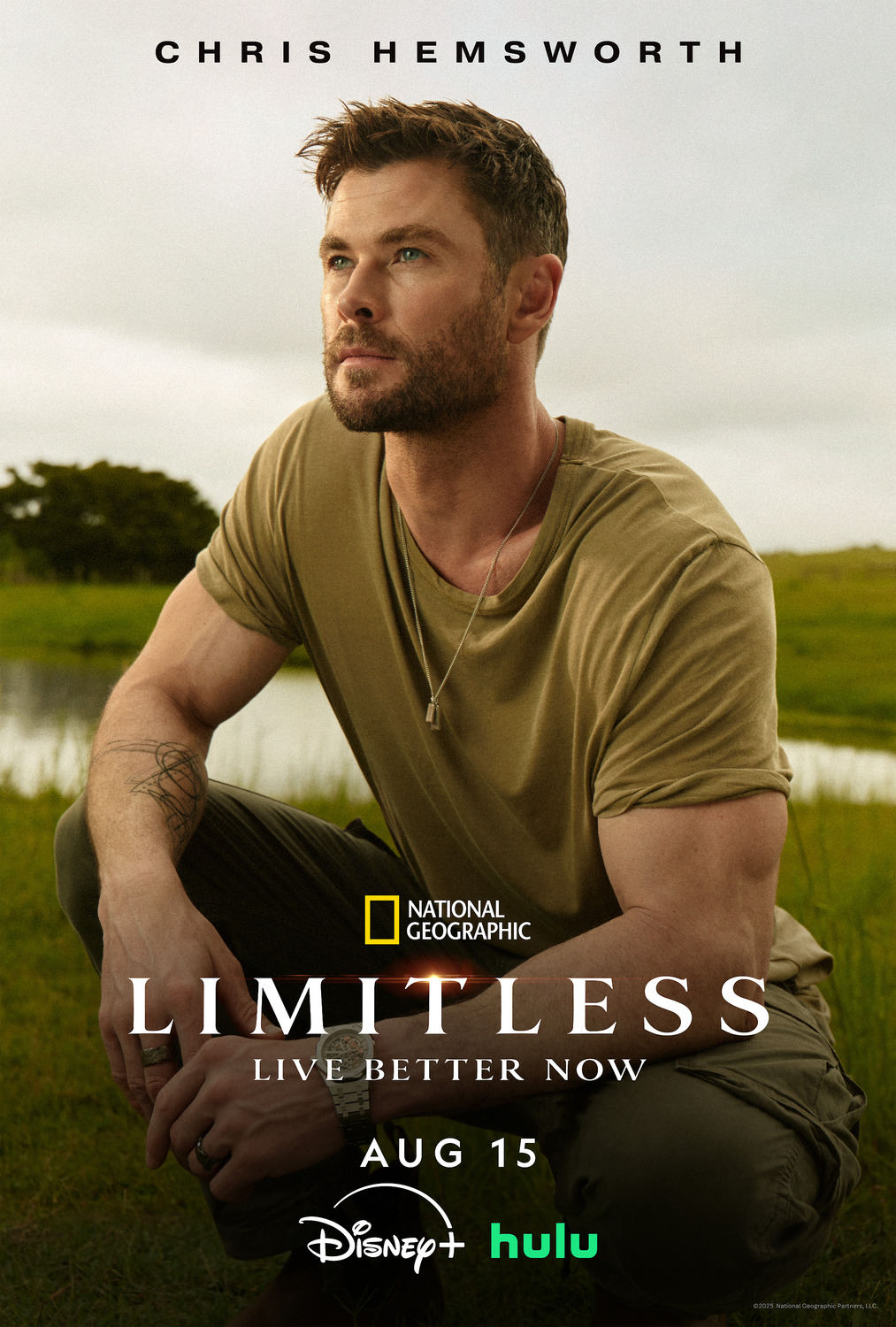 Extra Large TV Poster Image for Limitless with Chris Hemsworth (#3 of 3)