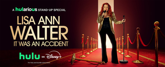 Lisa Ann Walter: It Was an Accident Movie Poster