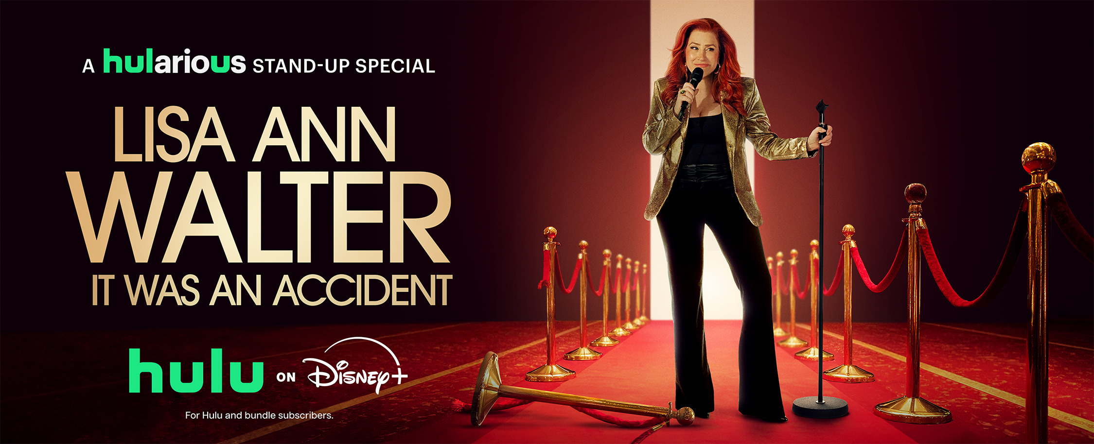 Mega Sized TV Poster Image for Lisa Ann Walter: It Was an Accident (#2 of 2)