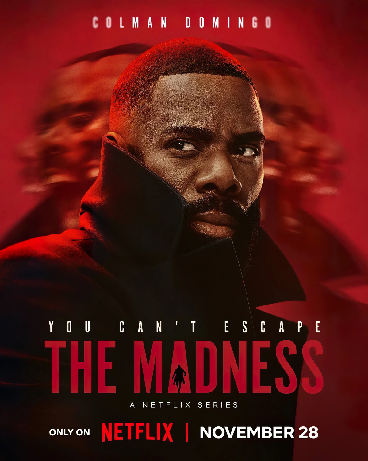 Extra Large TV Poster Image for The Madness 