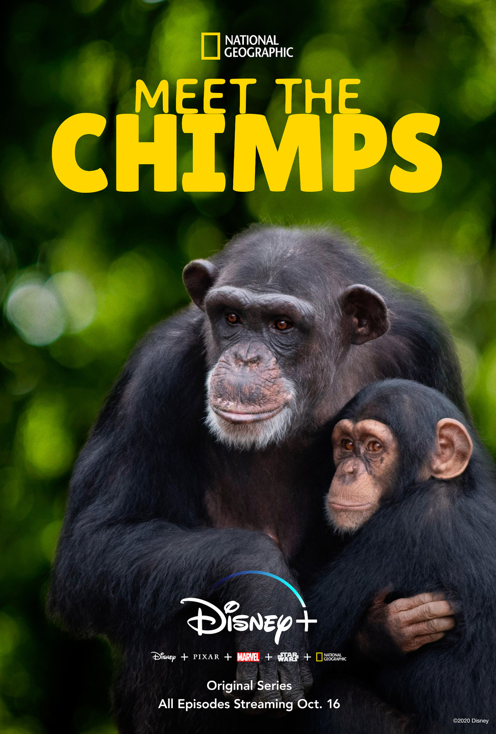Extra Large TV Poster Image for Meet the Chimps 