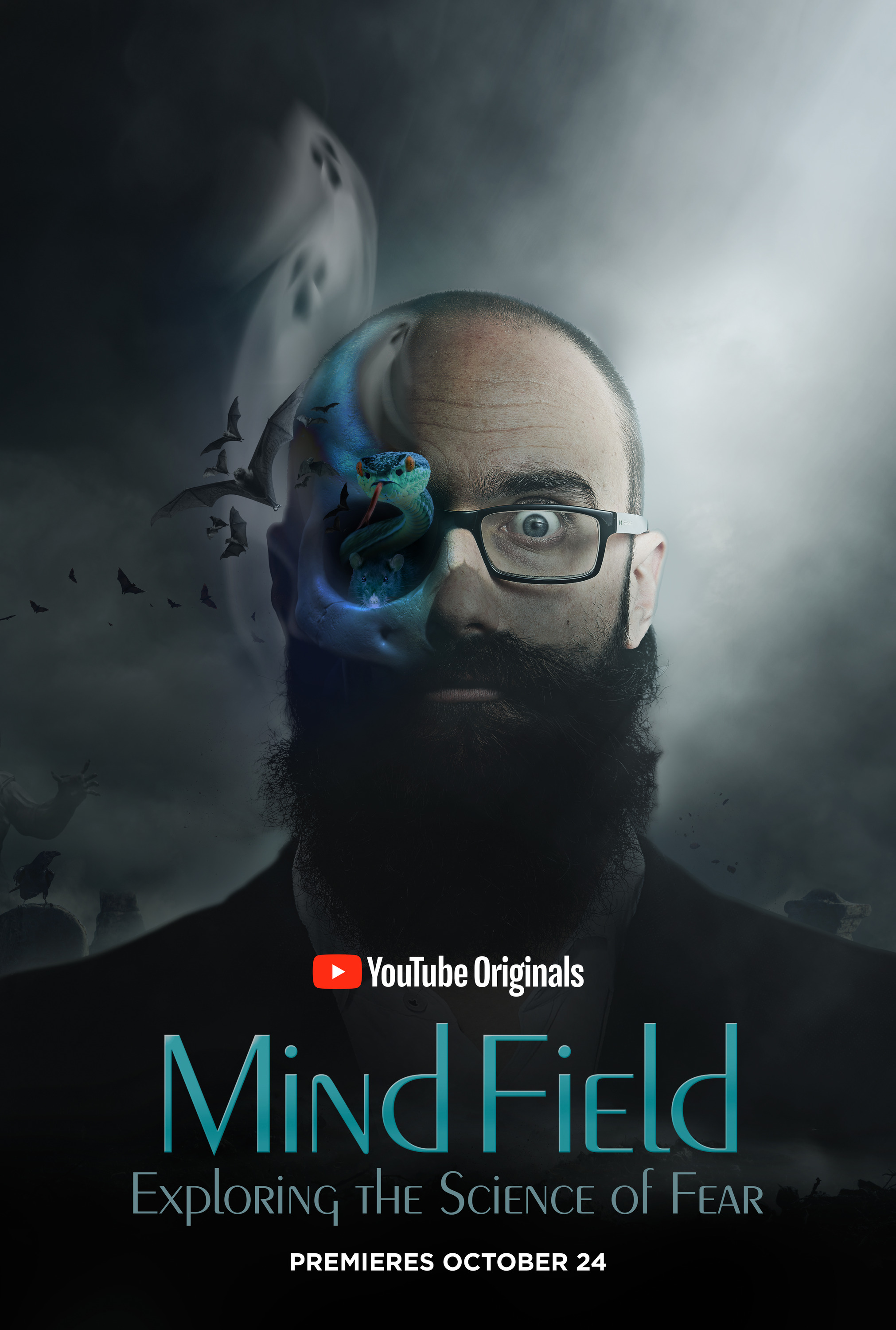 Mega Sized TV Poster Image for Mind Field (#4 of 4)