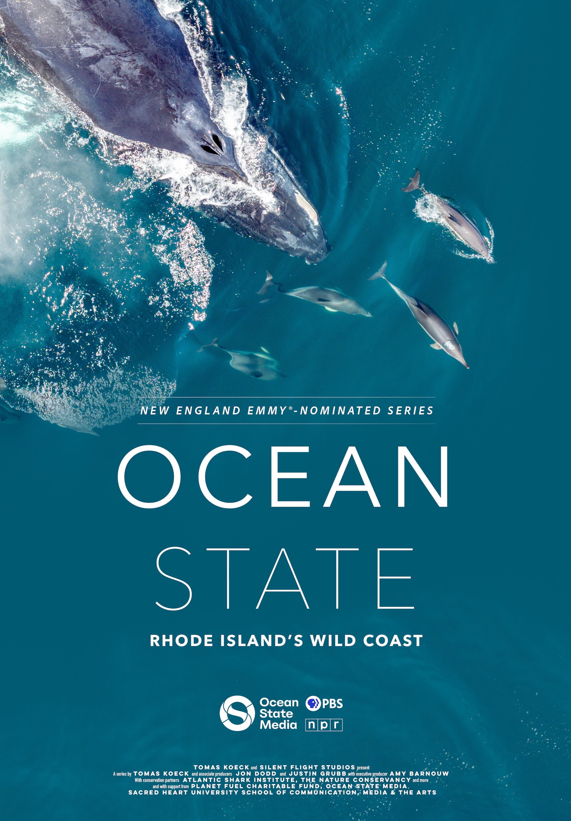 Mega Sized TV Poster Image for Ocean State: Rhode Island's Wild Coast (#3 of 3)