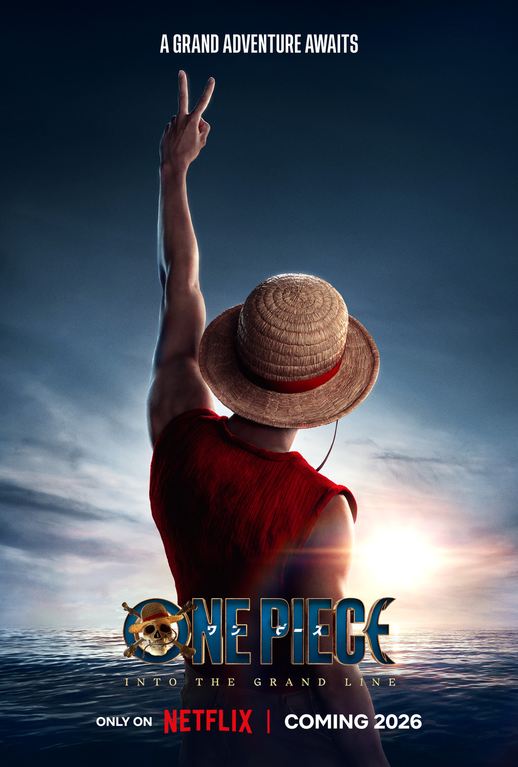 Extra Large TV Poster Image for One Piece (#17 of 19)