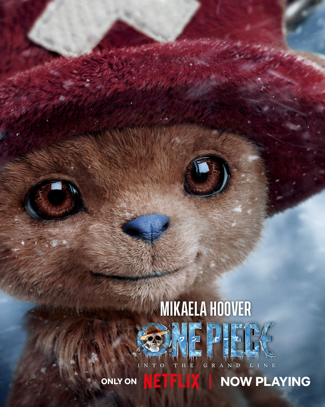 Extra Large TV Poster Image for One Piece (#44 of 44)