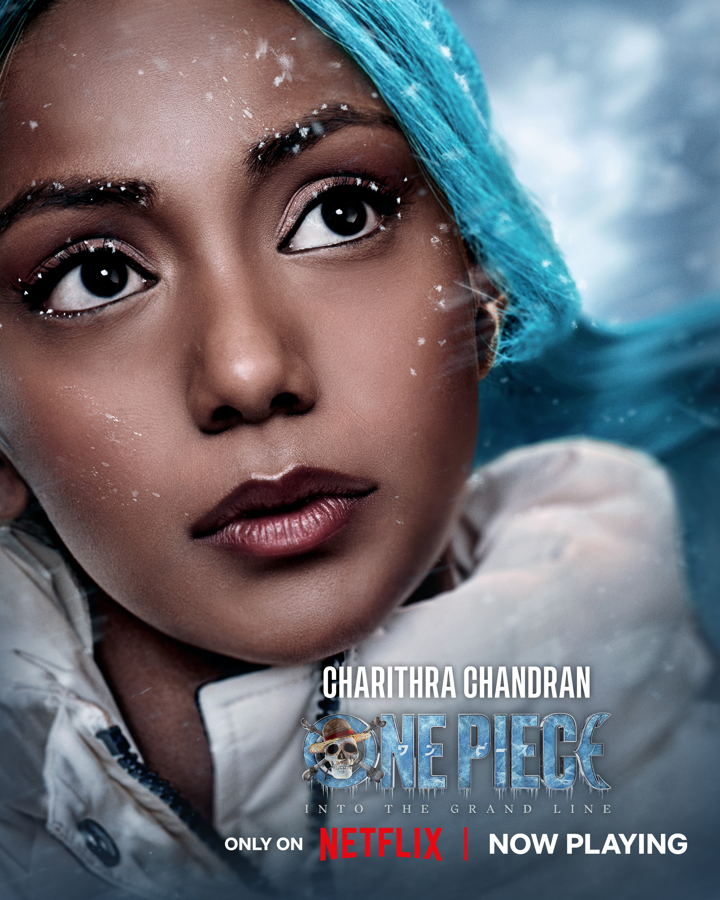 Mega Sized TV Poster Image for One Piece (#45 of 45)