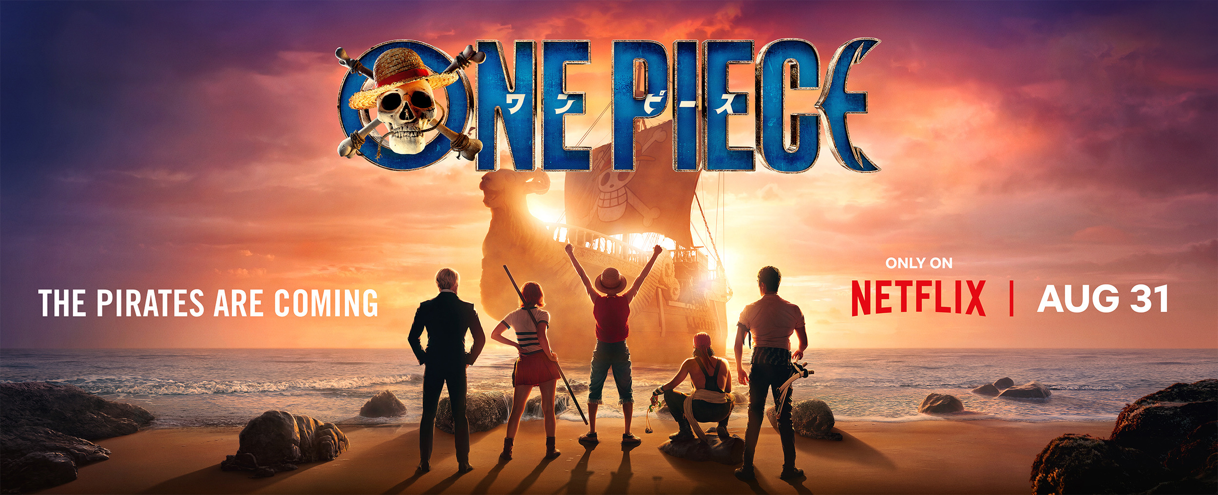 Mega Sized TV Poster Image for One Piece (#8 of 16)