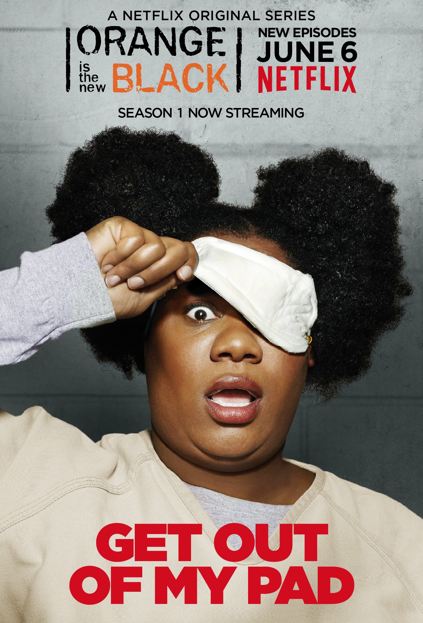 Mega Sized TV Poster Image for Orange Is the New Black (#17 of 81)