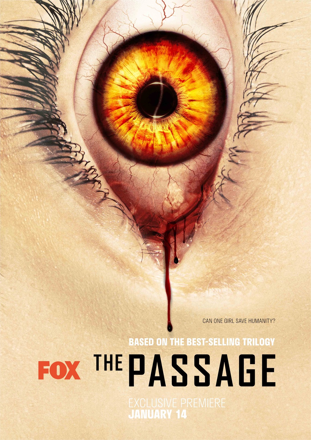Extra Large TV Poster Image for The Passage (#4 of 5)