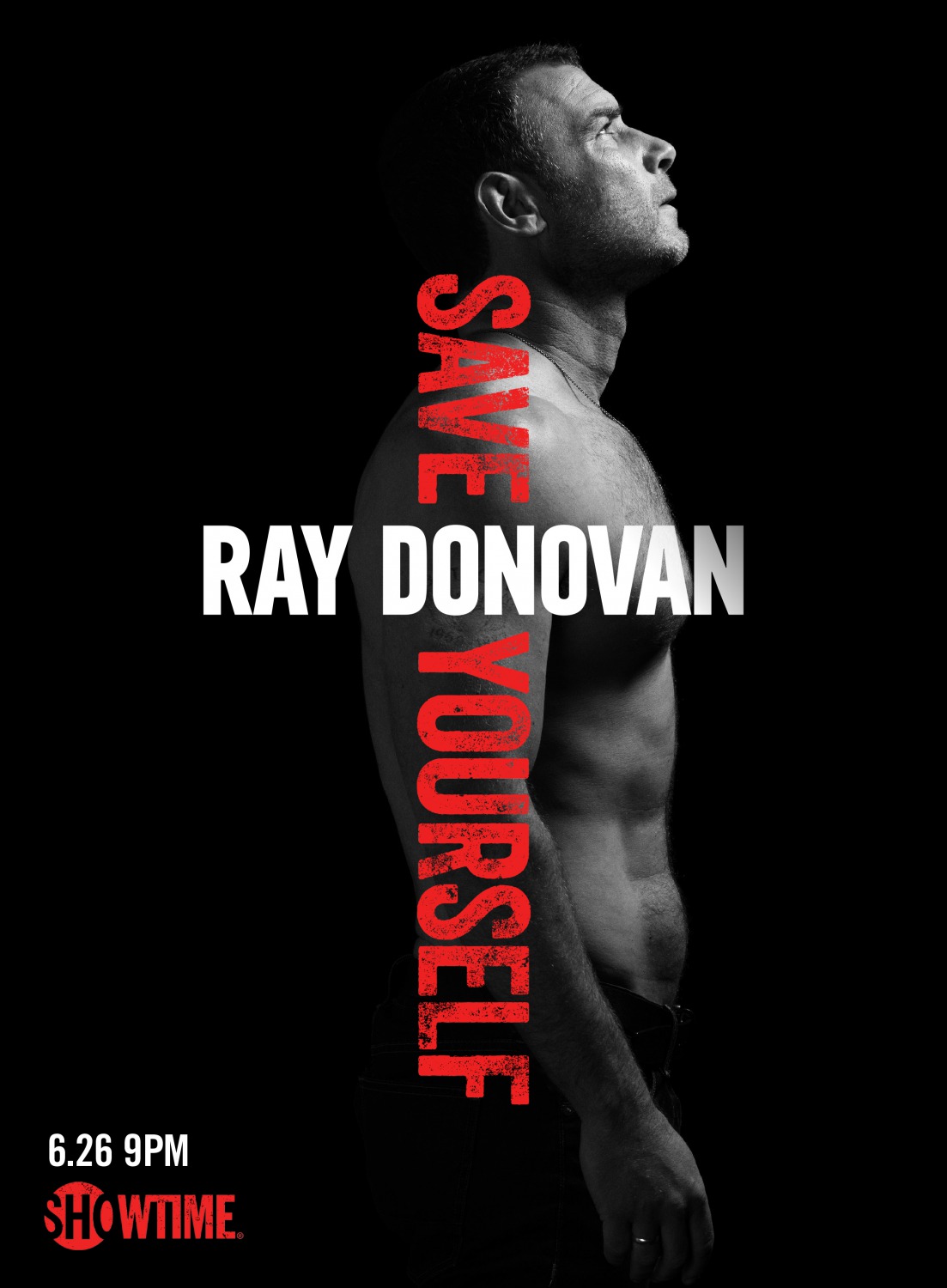 Extra Large TV Poster Image for Ray Donovan (#8 of 12)