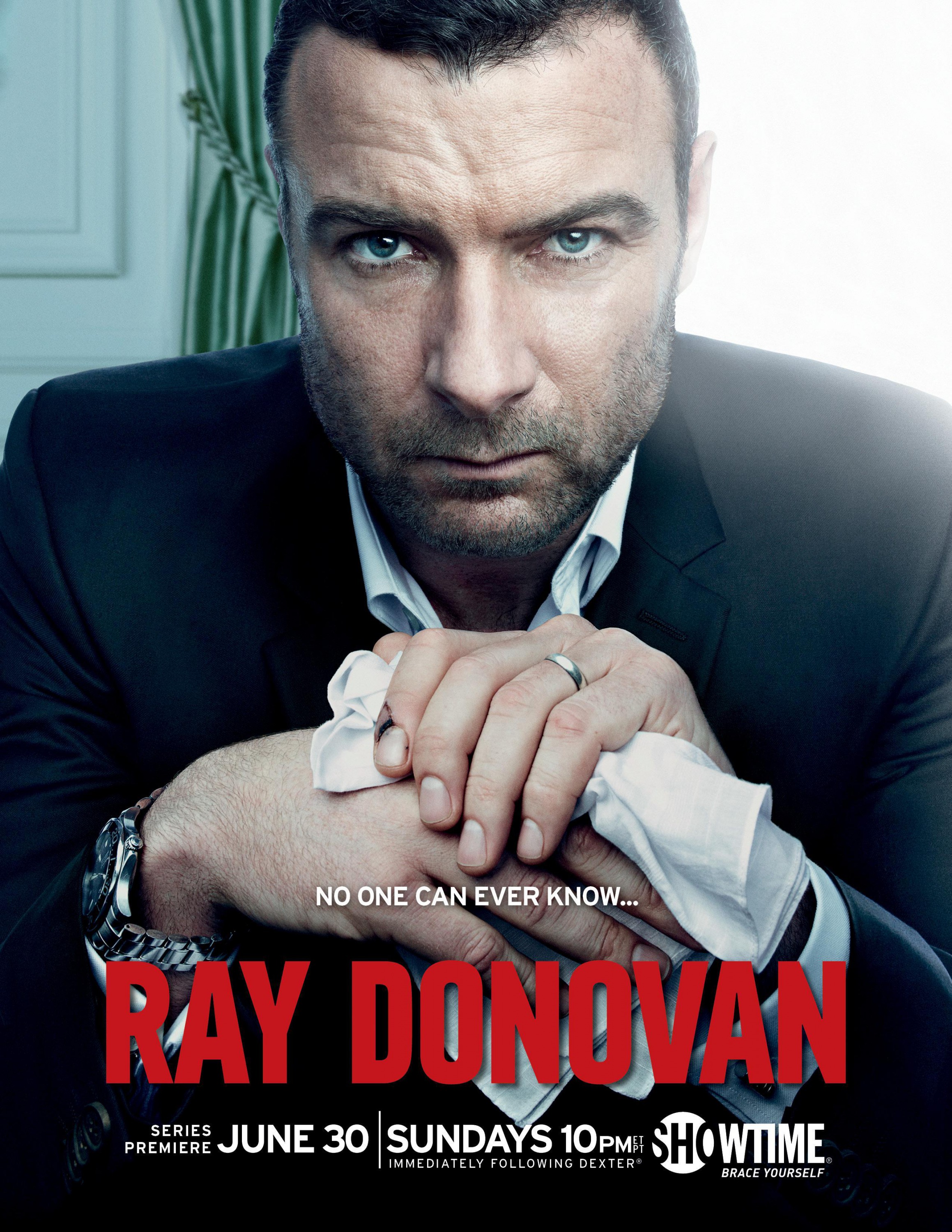 Mega Sized TV Poster Image for Ray Donovan (#1 of 12)