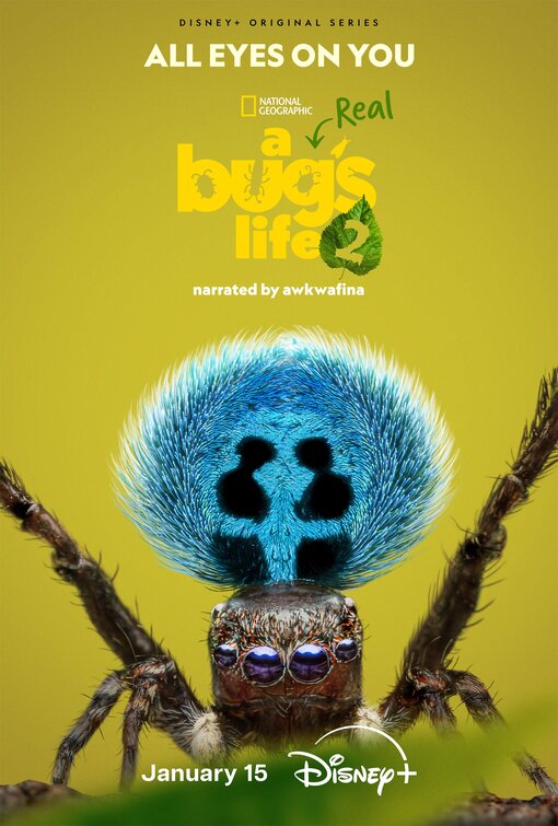 A Real Bug's Life Movie Poster