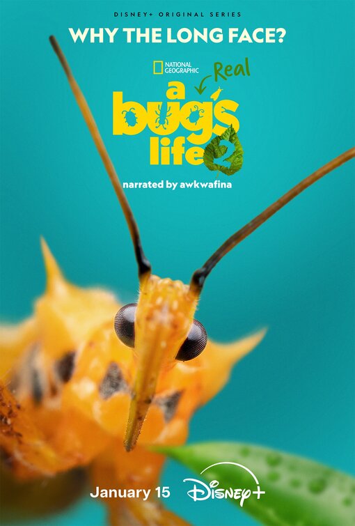 A Real Bug's Life Movie Poster