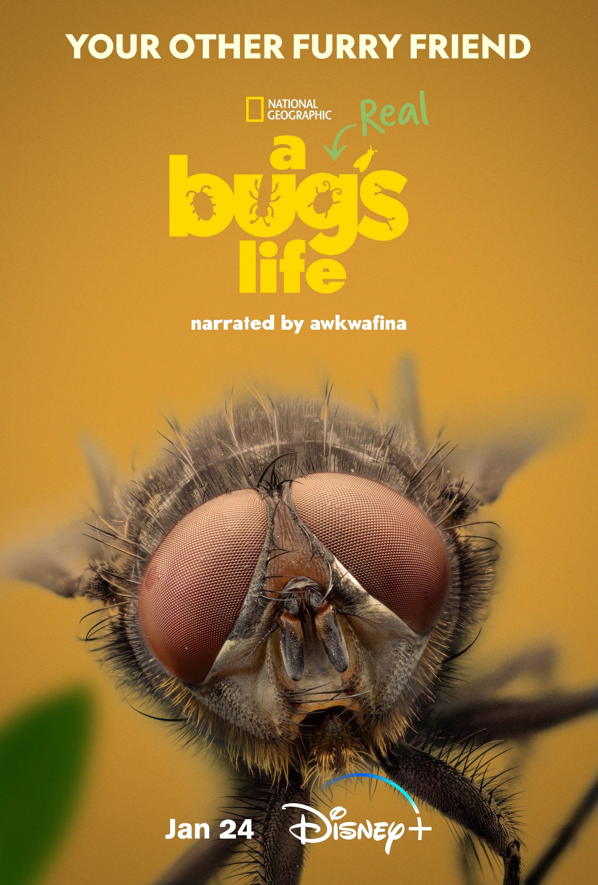 Mega Sized TV Poster Image for A Real Bug's Life (#4 of 7)