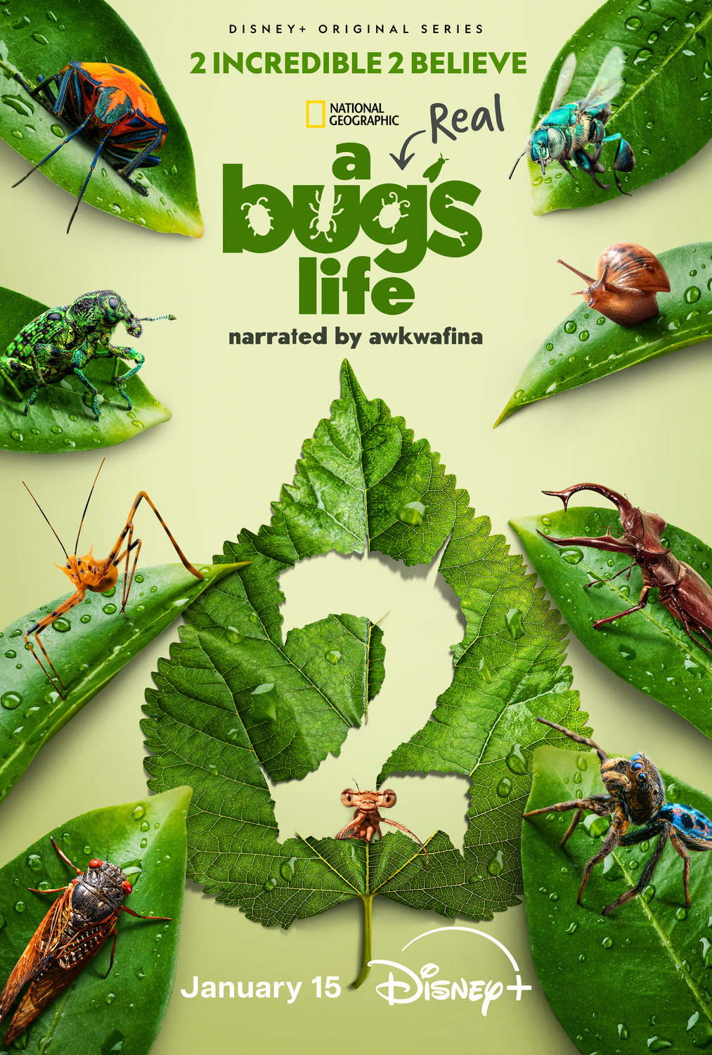 Extra Large TV Poster Image for A Real Bug's Life (#8 of 13)