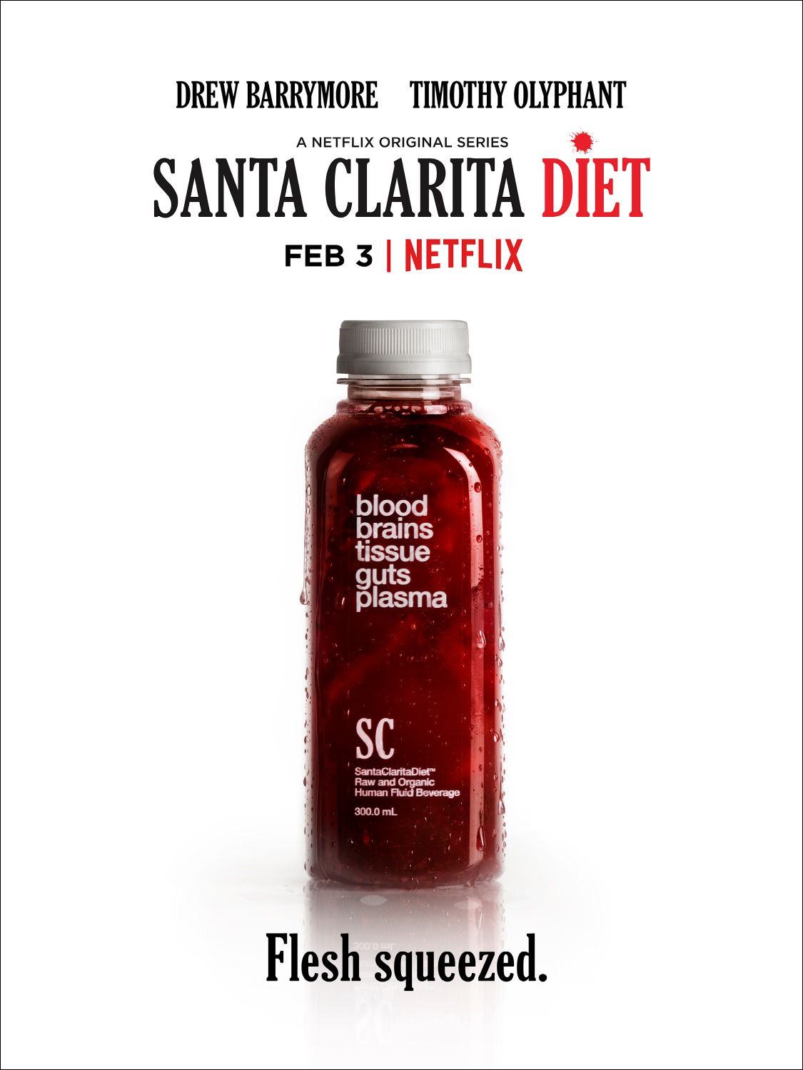 Extra Large TV Poster Image for Santa Clarita Diet (#6 of 10)