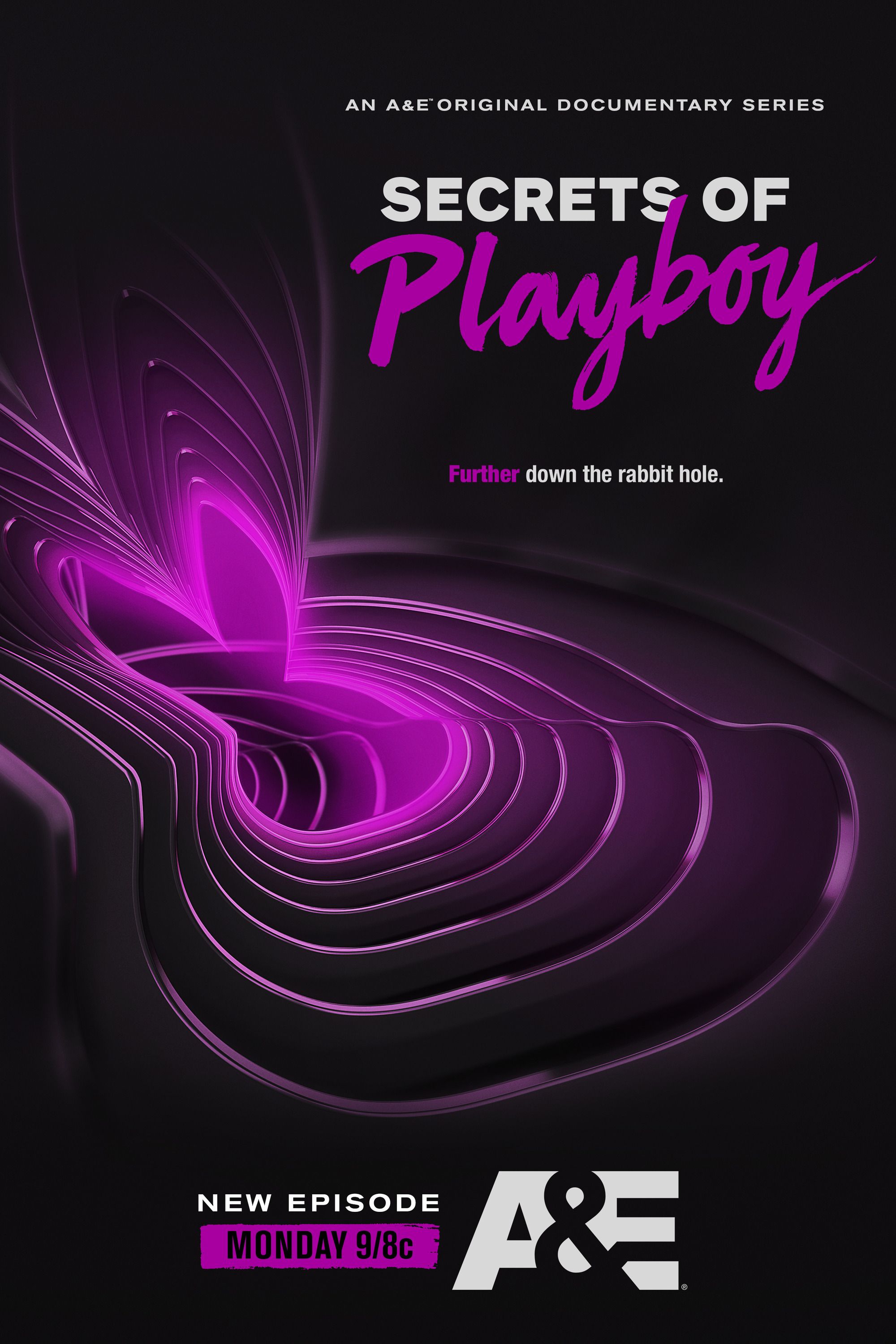 Mega Sized TV Poster Image for Secrets of Playboy (#2 of 4)