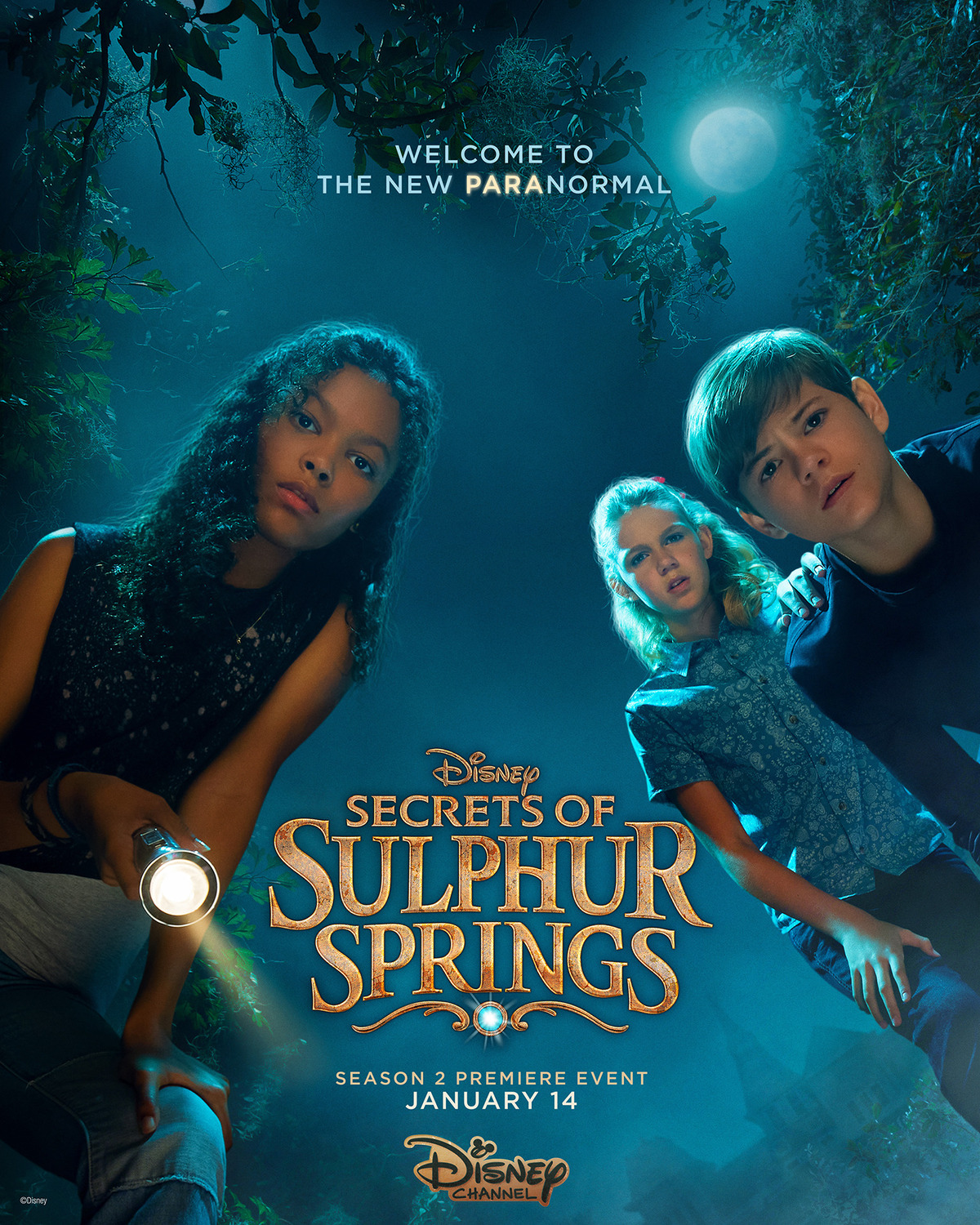 Extra Large TV Poster Image for Secrets of Sulphur Springs (#3 of 4)
