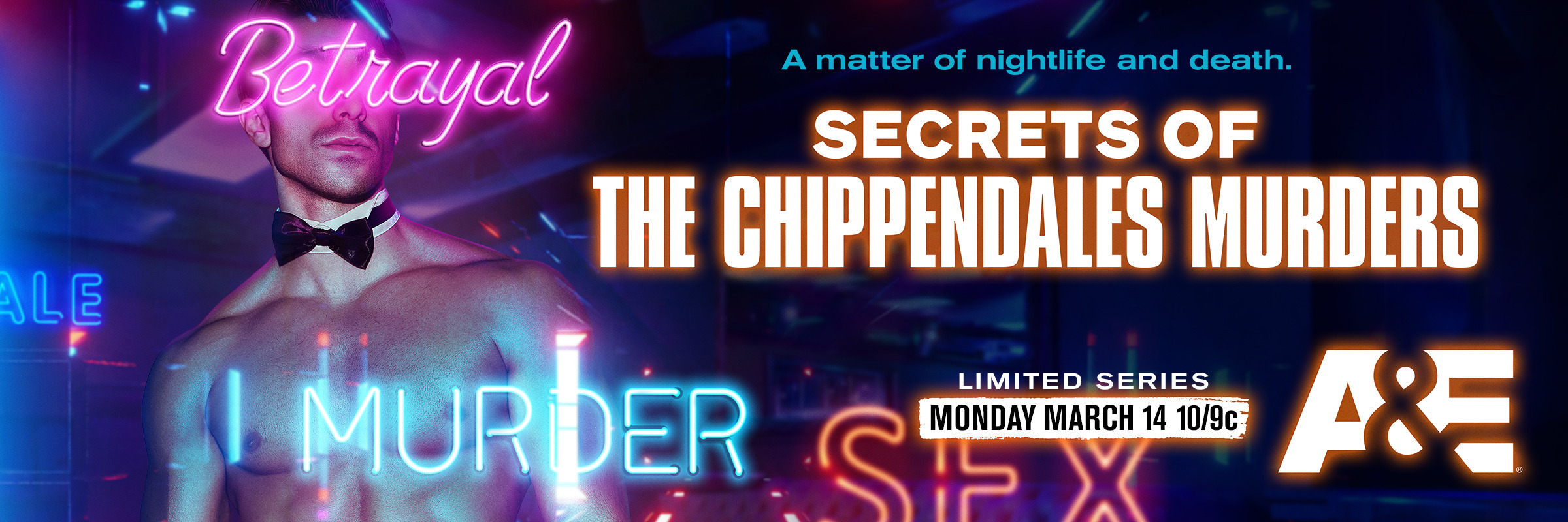 Mega Sized TV Poster Image for Secrets of the Chippendales Murders (#2 of 2)