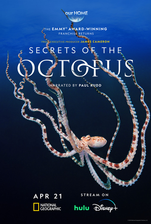 Secrets of the Octopus Movie Poster