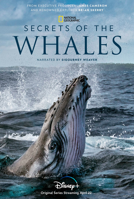 Secrets of the Whales Movie Poster