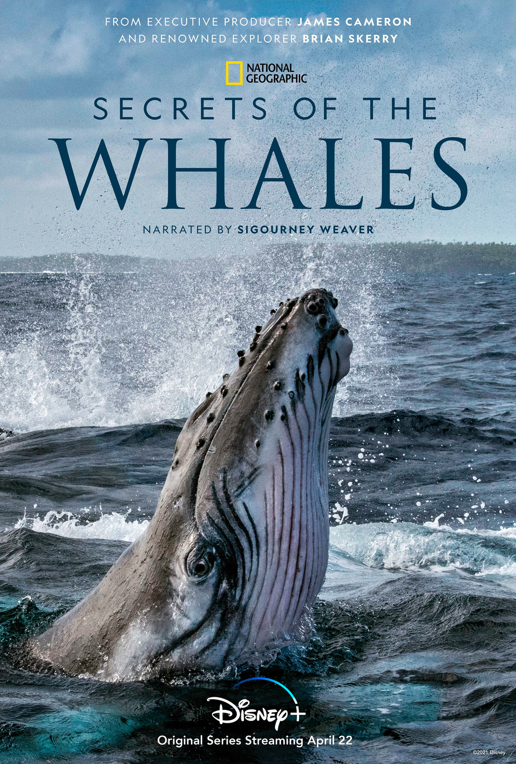 Extra Large TV Poster Image for Secrets of the Whales 