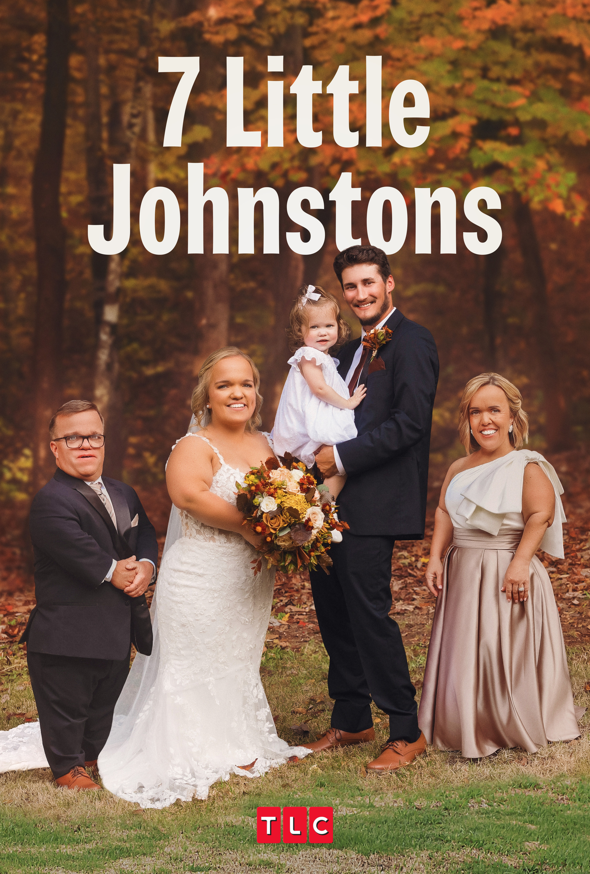 Mega Sized TV Poster Image for 7 Little Johnstons (#2 of 2)