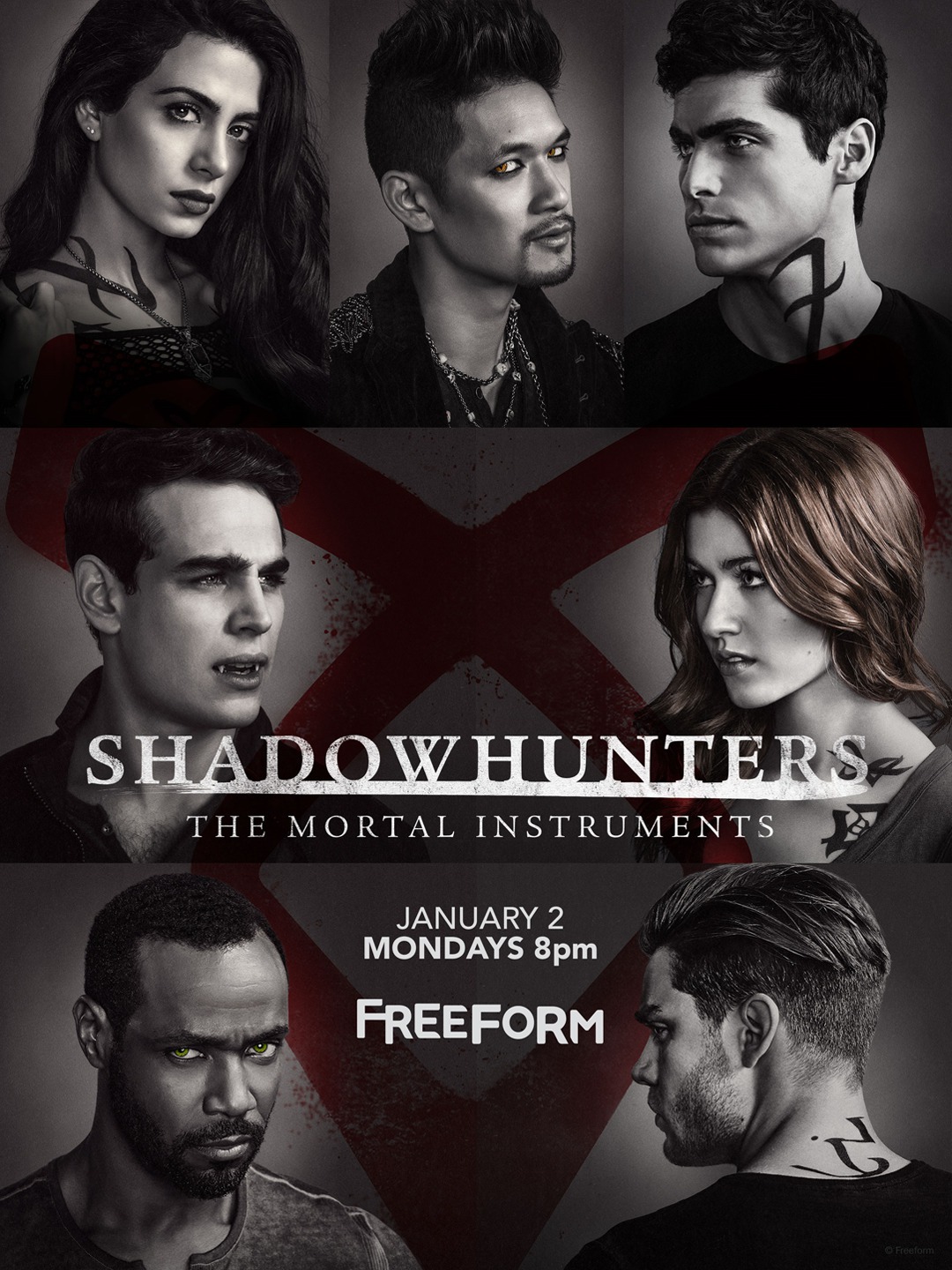 Extra Large TV Poster Image for Shadowhunters: The Mortal Instruments (#16 of 19)