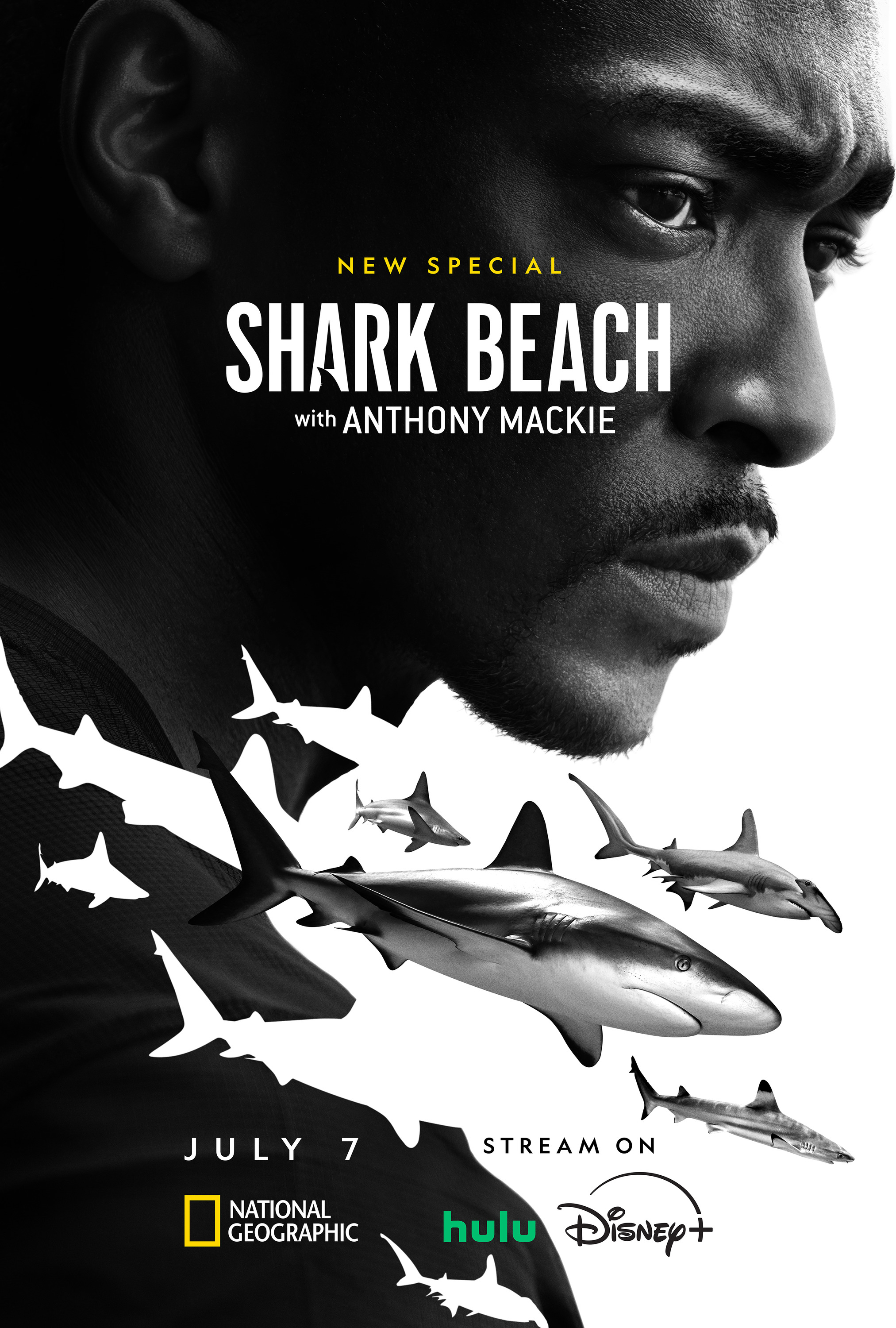 Mega Sized TV Poster Image for Shark Beach with Anthony Mackie (#2 of 2)